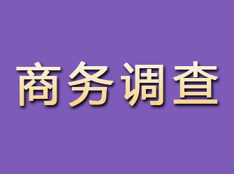 调兵山商务调查